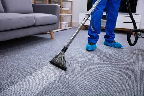 Why Is Carpet Cleaning Important? Carpet Cleaning Service NE Calgary