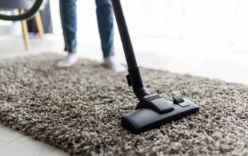 best carpet cleaning services NE Calgary