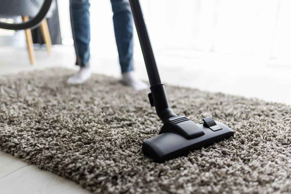 best carpet cleaning services NE Calgary