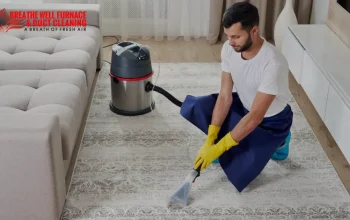 DIY vs Professional Carpet Cleaning in Calgary