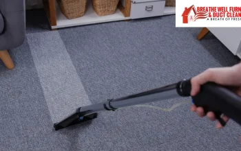 deep carpet cleaning